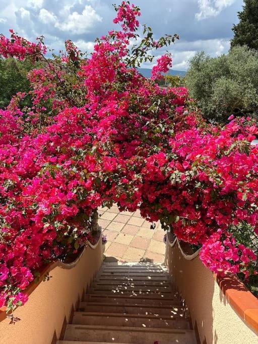 Casa Vacanze La Brii Iglesias Exteriér fotografie