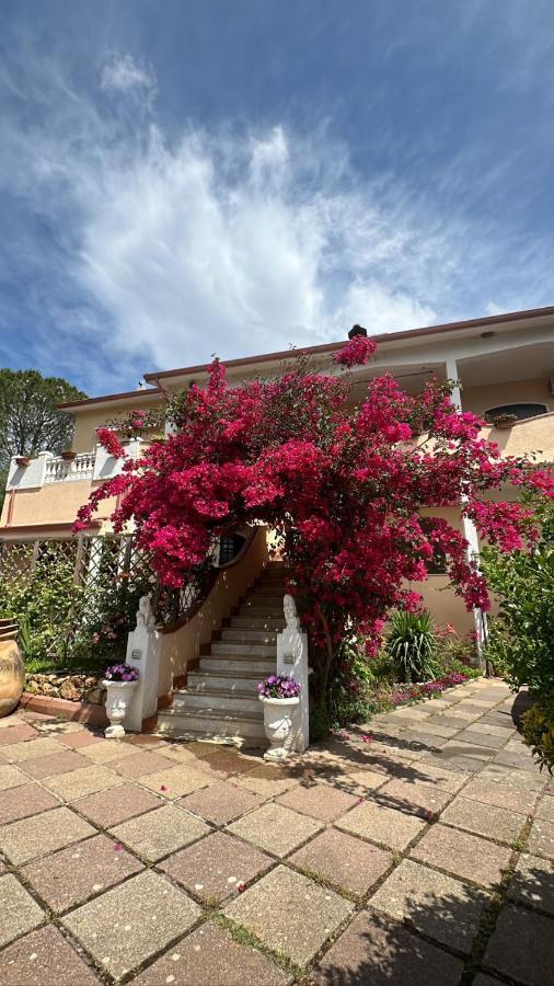 Casa Vacanze La Brii Iglesias Exteriér fotografie